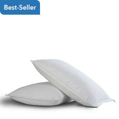 2-Pack Pillow Protectors with Bed Bug Blocker