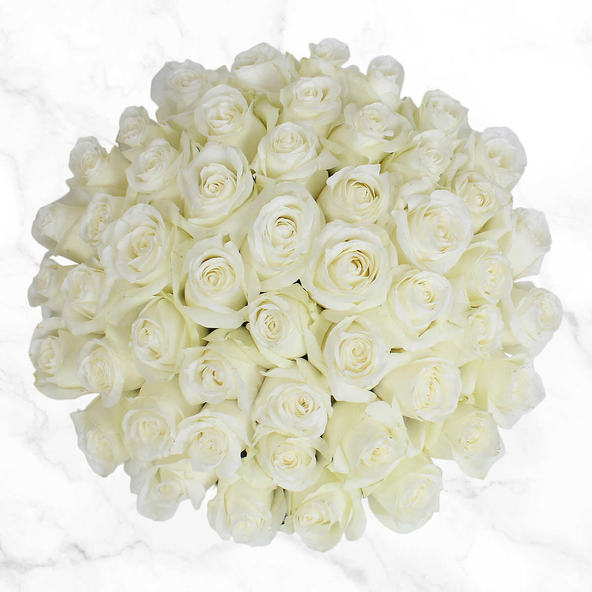 50 Stem White Roses