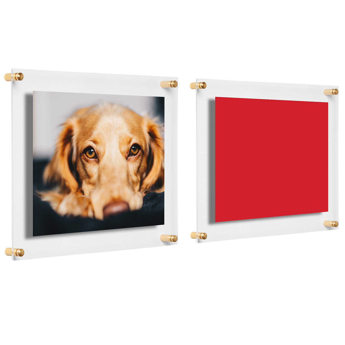 2 Pack Clear Acrylic Wall Mount Floating Frameless Picture Frame Double  Panel Plexiglass Display with Colored Metal Standoff for Photos Artwork  Posters Paintings