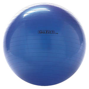Stability Ball Pump – Fitness Serve