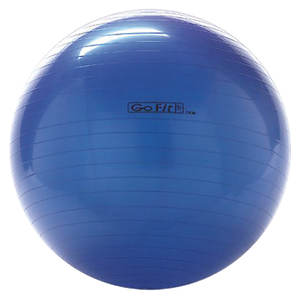 Gofit cheap exercise ball