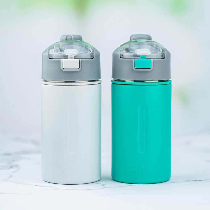 Zak Designs Genesis Versa Stainless Steel Water Bottle 2-pack with