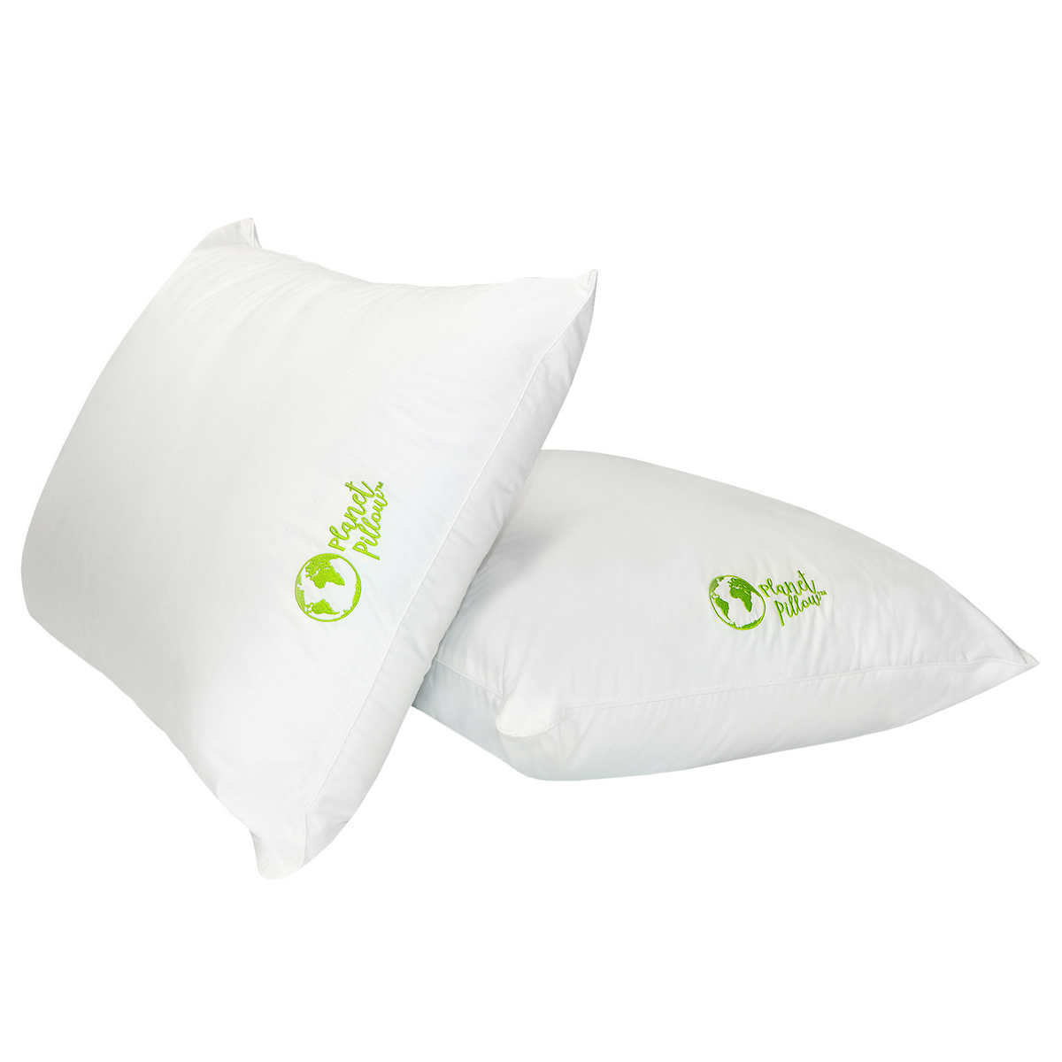 Planet Pillow 2 Pack Costco