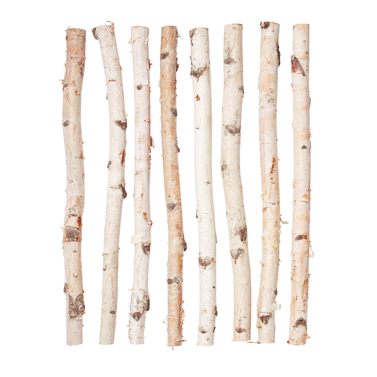 White 10 Birch Sticks, Dried Natural Birch Branches, Birch Log