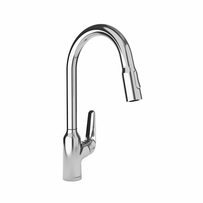 Hansgrohe Focus N Single-Handle Pull-Down Sprayer Kitchen Faucet