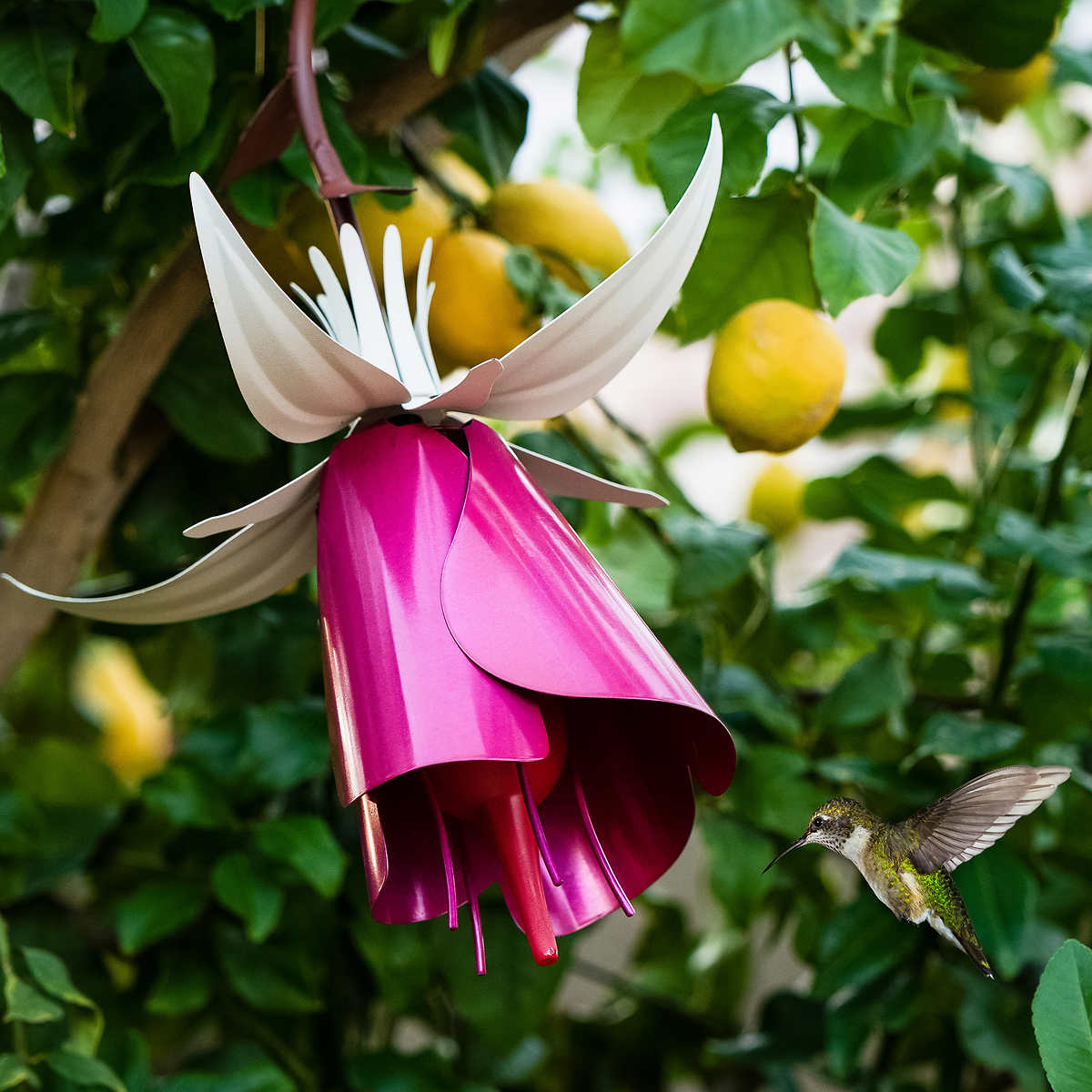 Desert Steel Fuchsia Hummingbird Feeder Costco