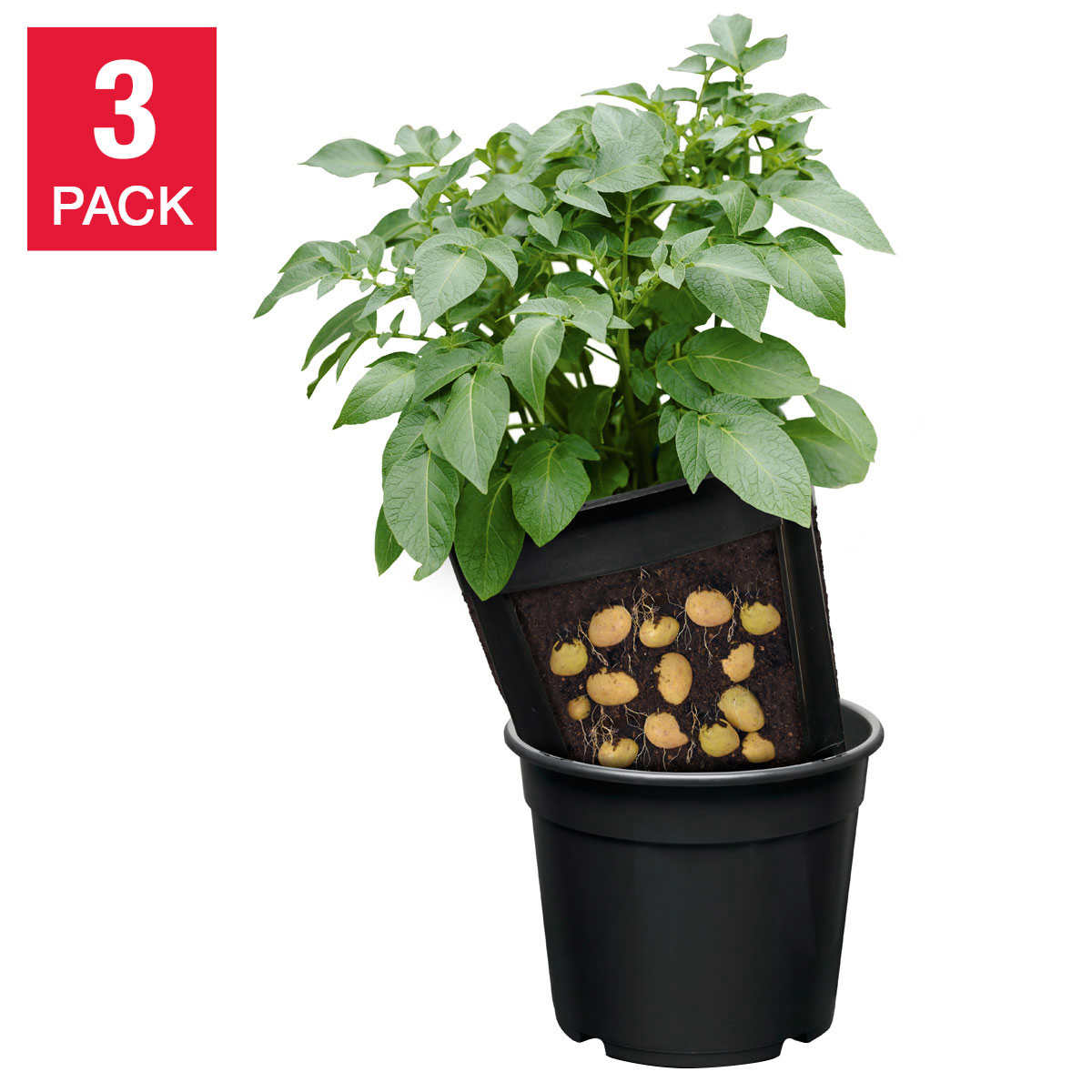 No Dig Potato Planter 3 Pack Costco