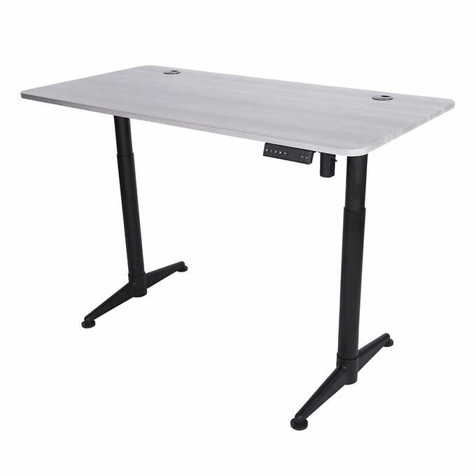 55*24'' Electric Standing Desk Adjustable Height Stand up Desk 27