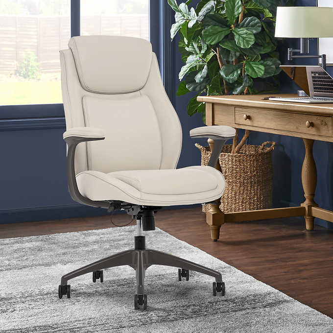Maxy Executive and Comfy Office Chair on Rent