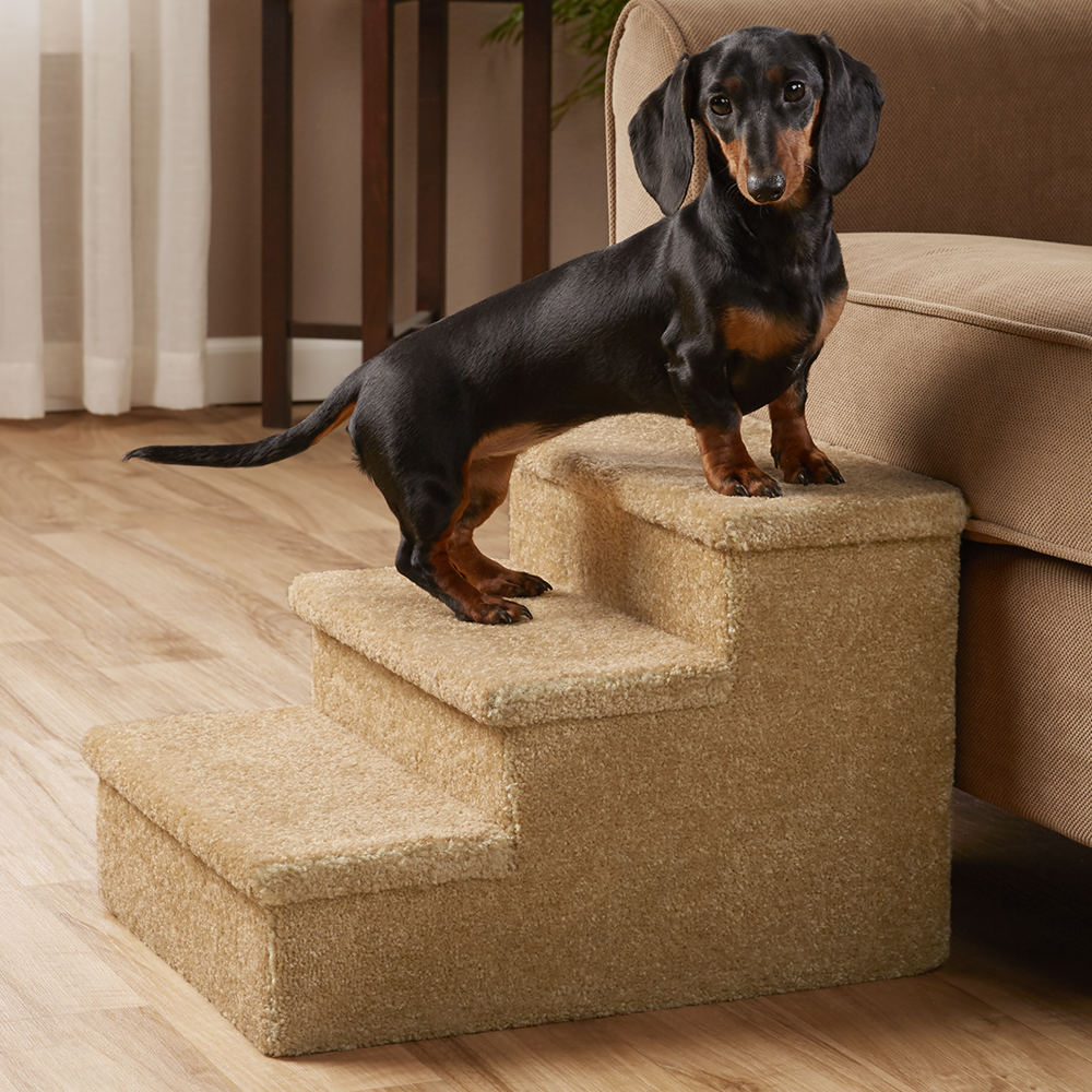 Carpeted pet steps best sale