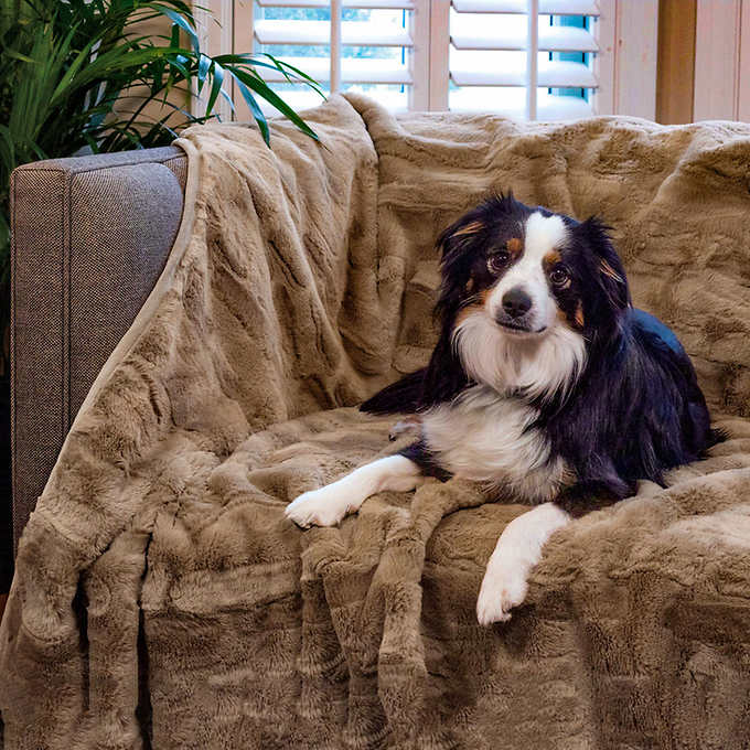 Lifesize Plush Laying Border Collie Dog – The Well Appointed House