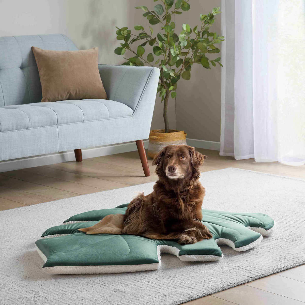 Dog Toy Digging Mat, Comfortable And Soft, Washable Dog Game, Dog