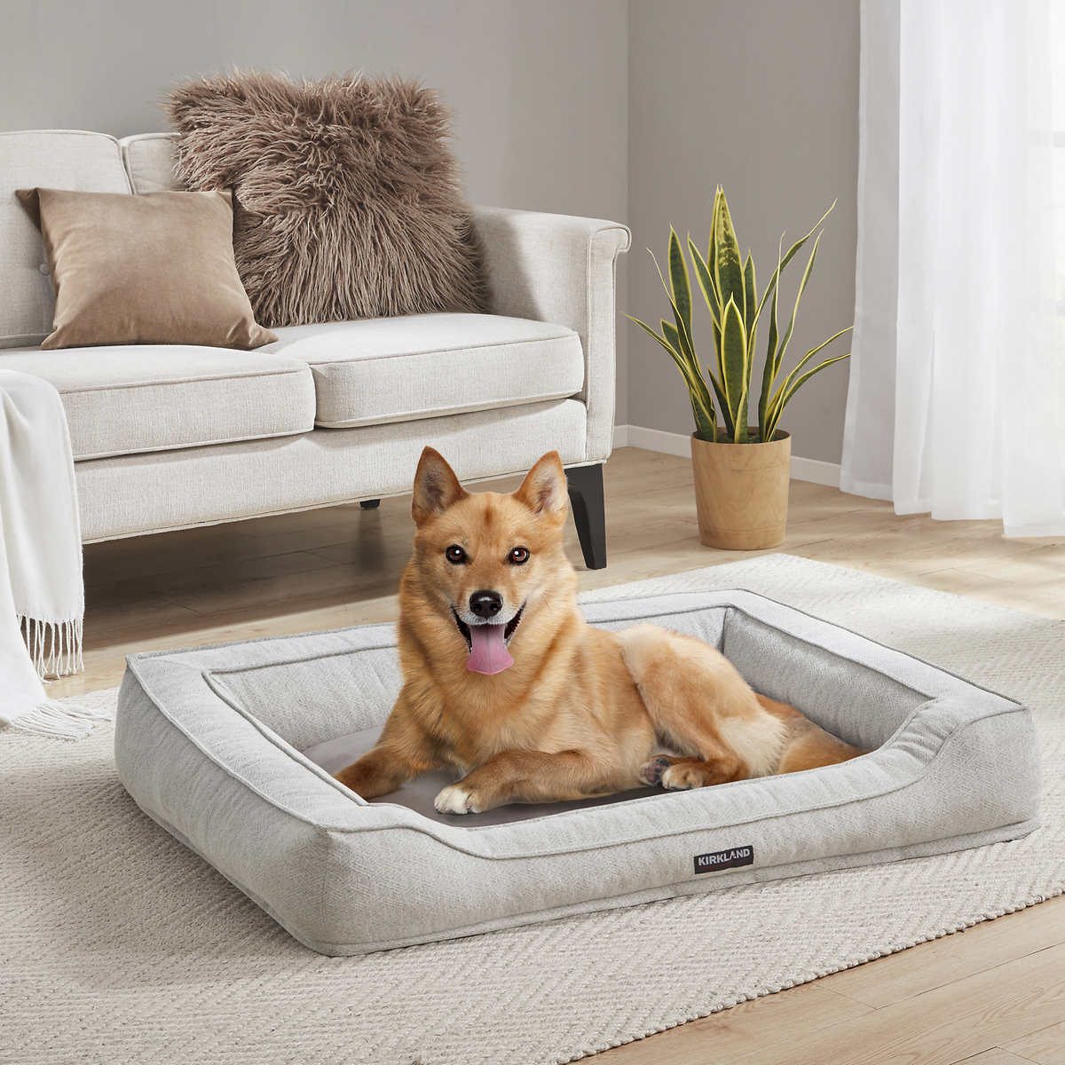 Halo bolster dog store bed