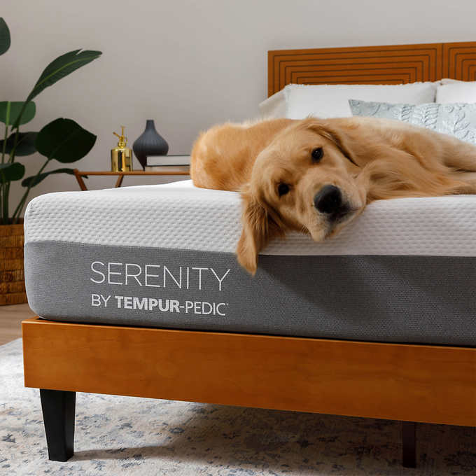 Serenity by Tempur-Pedic Mattress