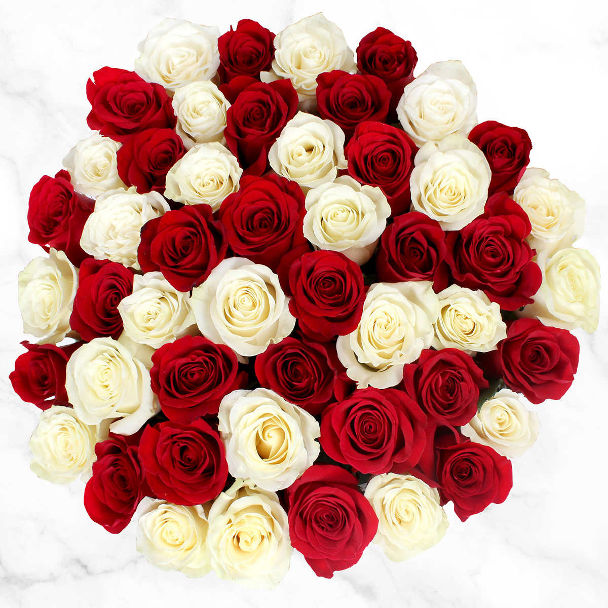  50 Red Roses- Fresh Flowers- Bright Color Blooms : Grocery &  Gourmet Food