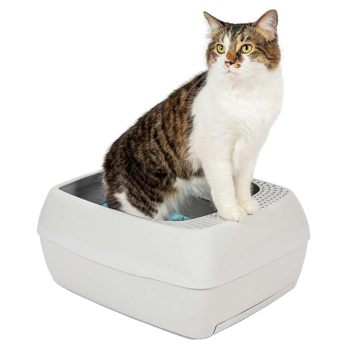 Premier Pet Dual Fresh Litter Box System For Cats Costco