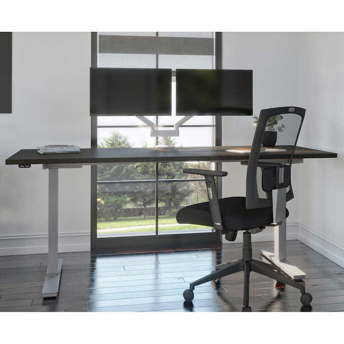 Upstand 48W x 24D Standing Desk with Dual Monitor Arm