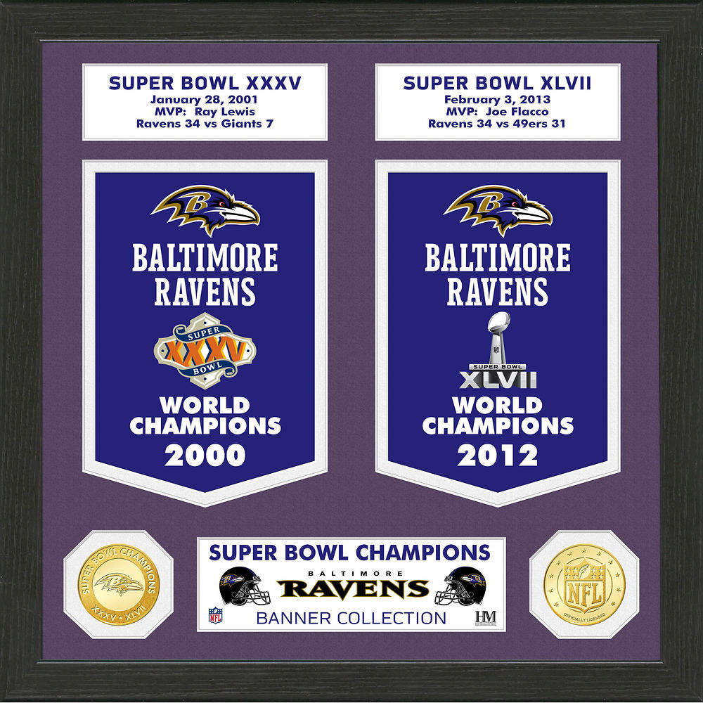 Officially Licensed NFL Cowboys Champions Banner Collection Photo