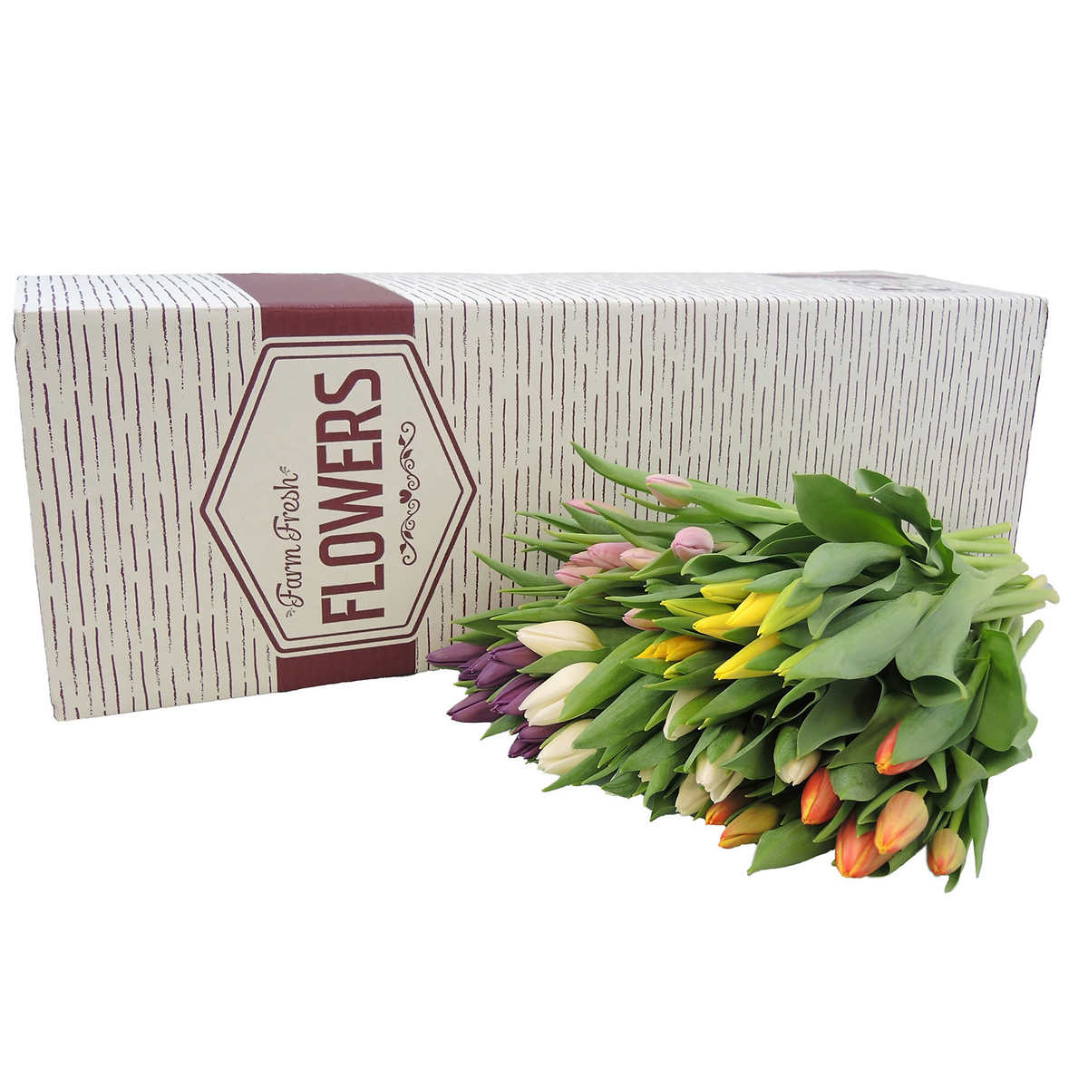 Bulk 50 Stem Tulips Assorted Easter Color Costco