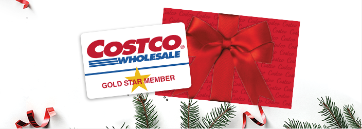 Great Gift Ideas for Your Holiday Shopping - Costco Wholesale Canada