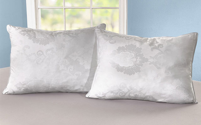 Pillow + Mattress Toppers