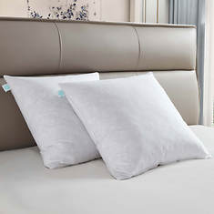 Martha Stewart 233TC Cotton Decorative Feather Pillow Insert 2-Pack