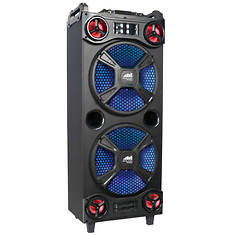 Naxa Portable Dual 12" BT Party Speaker