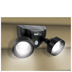 Night Eyes Solar Security Light/Alarm
