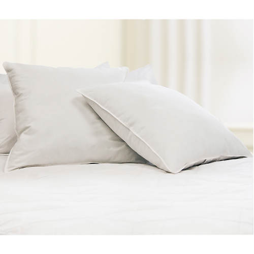 2-Pack Euro Square Pillows