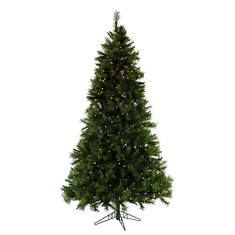 Fraser Hill 6.5' Canyon Lighted Christmas Tree