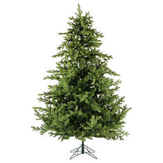 Fraser Hill 6.5' Southern Peace Christmas Tree