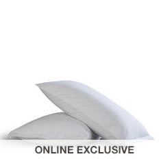2-Pack Bamboo Pillow Protector with Bed Bug Blocker