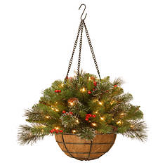 20'' Crestwood Hang Basket with Lights