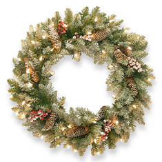 24" Dunhill Fir Wreath with Lights