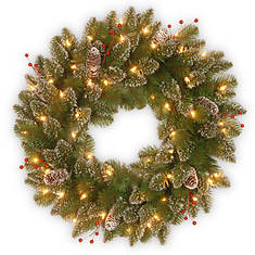 24" Mountain Spruce Wreath with Lights