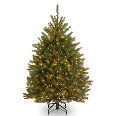 4' Dunhill Fir Tree with Clear Lights
