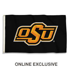 NCAA 3'x5' Flag with Grommets