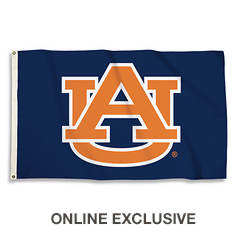 NCAA 3'x5' Flag with Grommets