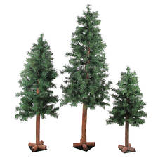 Northlight 3-Piece 5' Xmas Trees Set