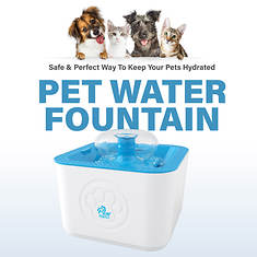 Paw Perfect Water Fountain