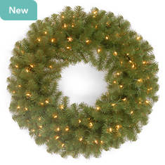 National Tree Company 24" North Valley Spruce Wreath with 50 Clear Lights