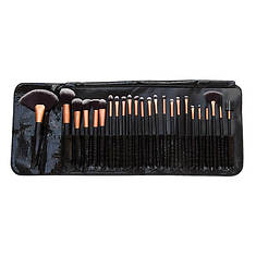 24-Piece Makeup Brush Set with Case