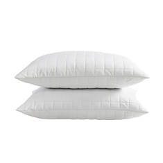 Blue Ridge Activ Shredded Memory Foam Pillow with Removable Cover 2-Pack