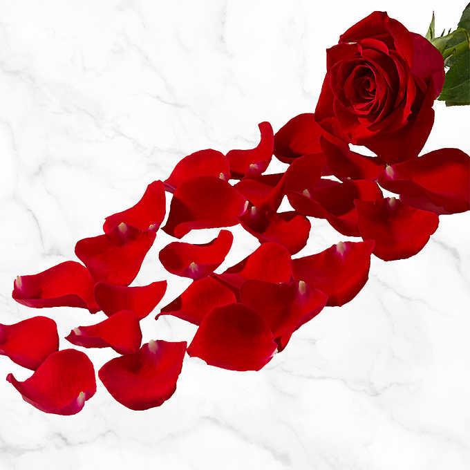 1000 parts Petals of rose flower Favors for Wedding Decoration Red Pedals- 