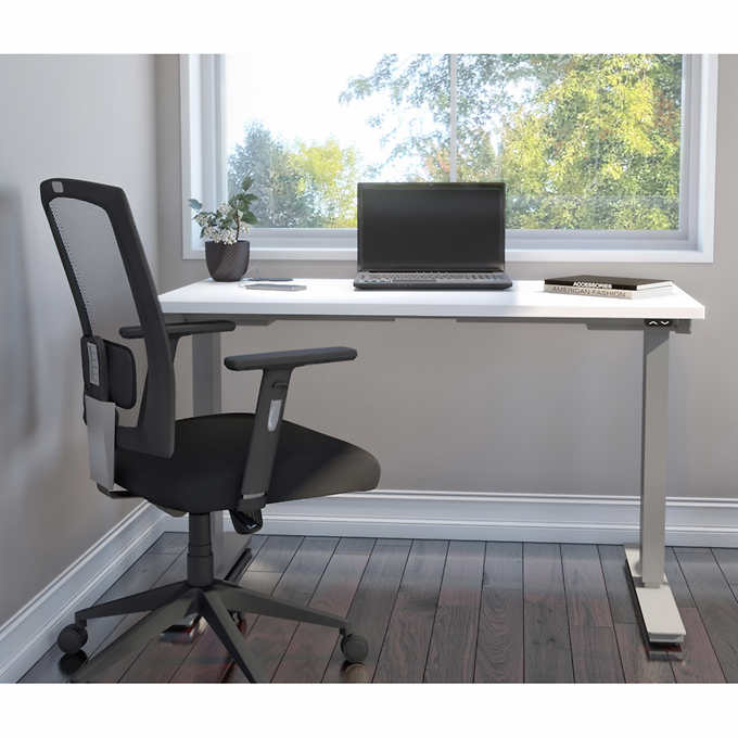 48 Adjustable Stand Up Desk Costco, Smart Computer Desk Costco