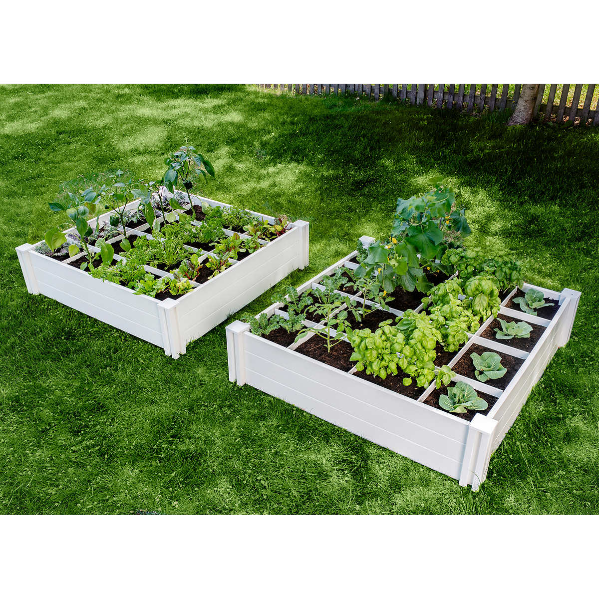 Vita 18'x18'x18" Modular Vinyl Garden with Planting Grid 18 pack   Costco