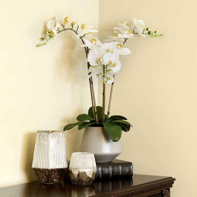 ORCHIDS BANNER SIGN flower orchid stand  florist shop floral arrangements 