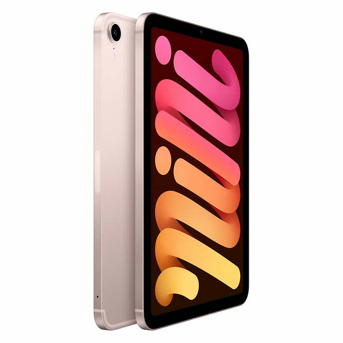 iPad mini 8.3-inch, 64GB, Wi-Fi + Cellular (6th Generation, 2021